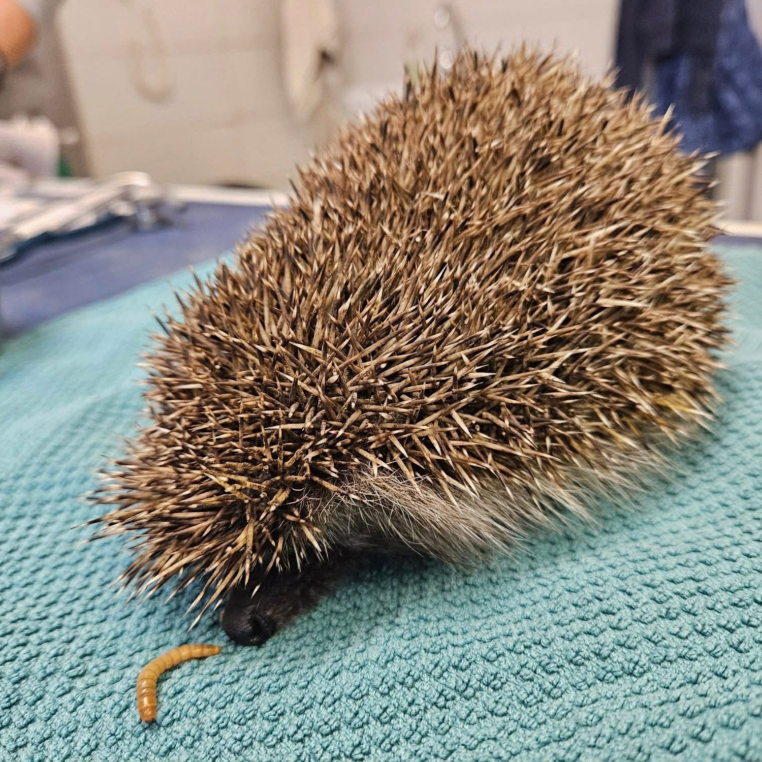 0e37d224-1d70-4ee9-8e84-82d73ee1bcde