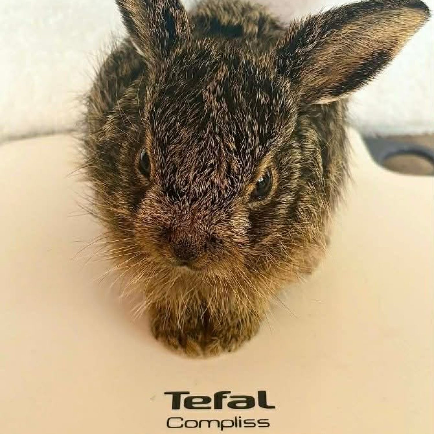 10eb7b18-fcc3-4c10-9889-c25133333e64