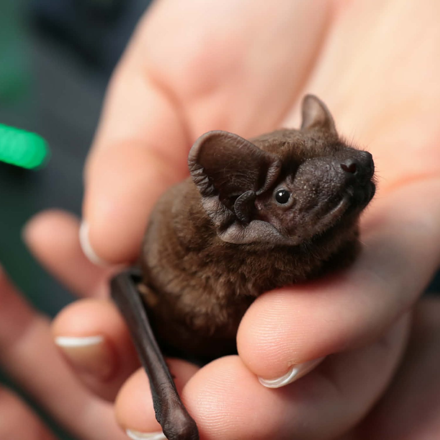 5750e6b5-72d8-448d-8681-31962ede9cd9