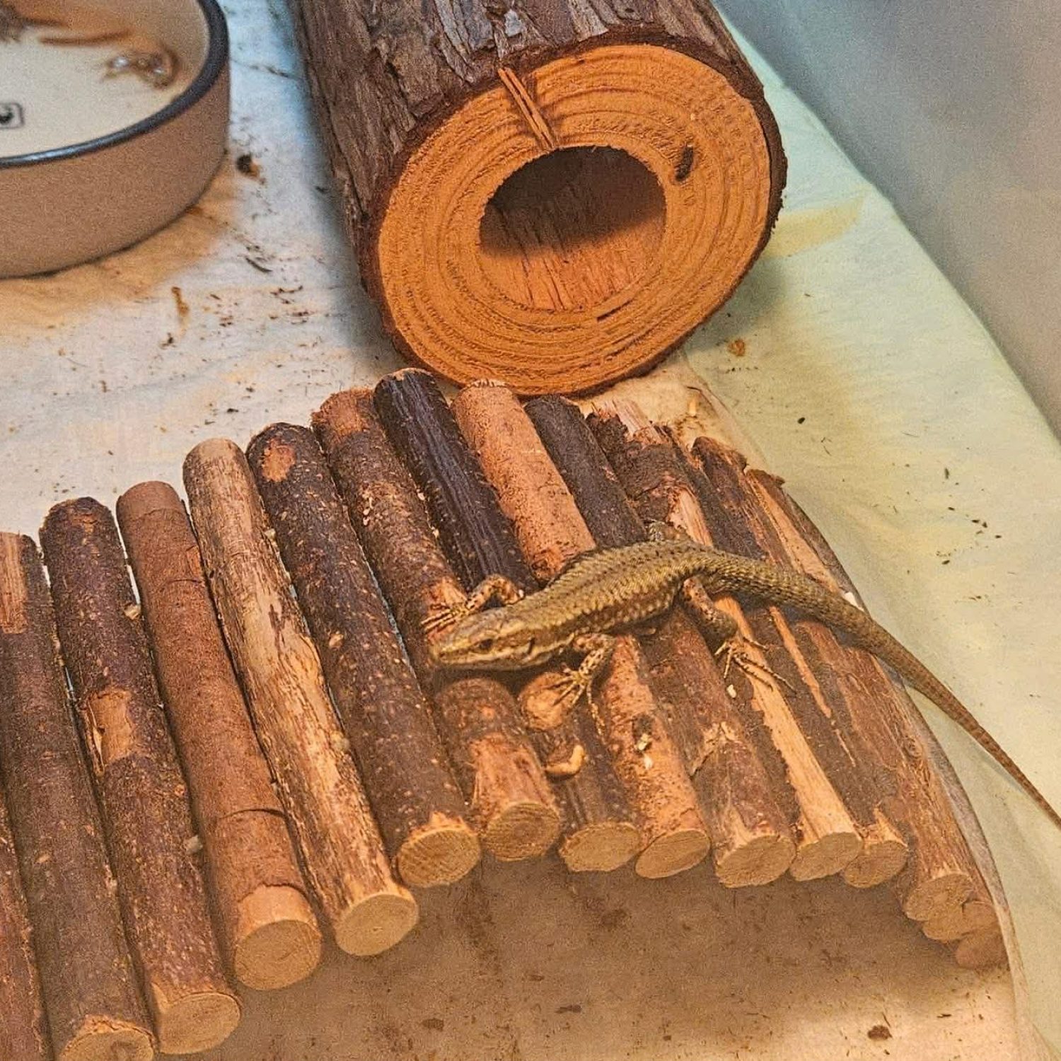 89e90456-8de6-4d05-bfb2-bc9cd86f3ad1