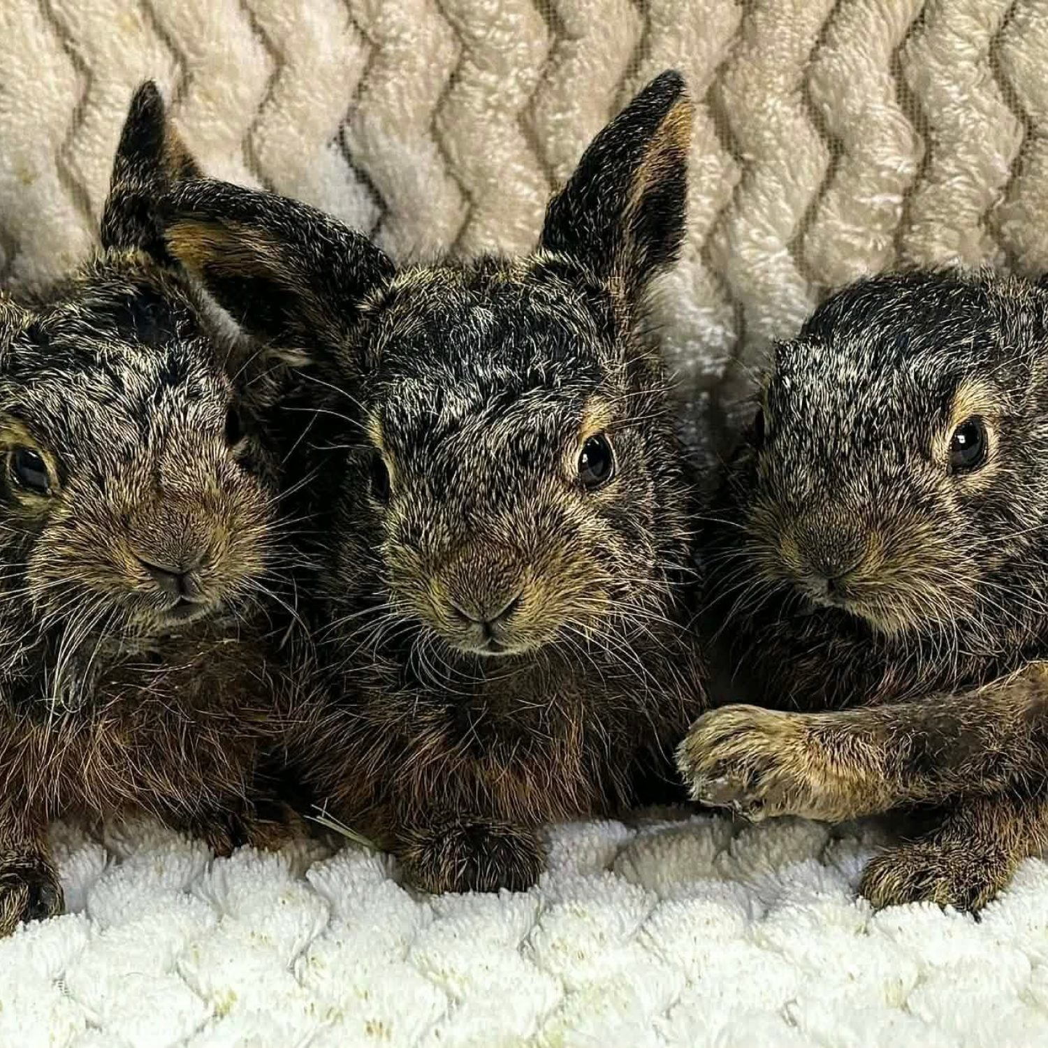 b4538a5c-2e6d-4c52-8787-52d6ba9cdac6