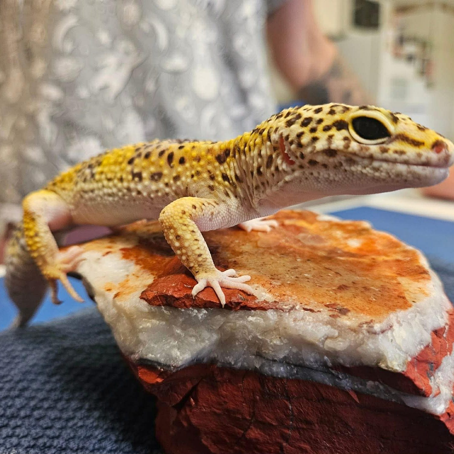 e2c3fb87-f46a-4d88-b0a2-06d8c611983c