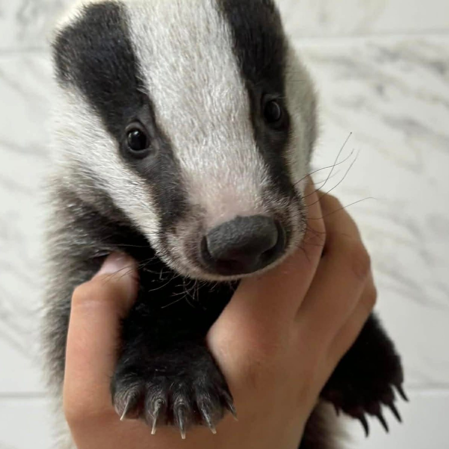 f620c716-cc5d-4224-99b6-fee27fadbd5f